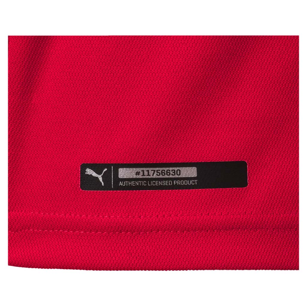 Puma Serbie domicile maillot de soccer junior Coupe du Monde 2018 - Image 3