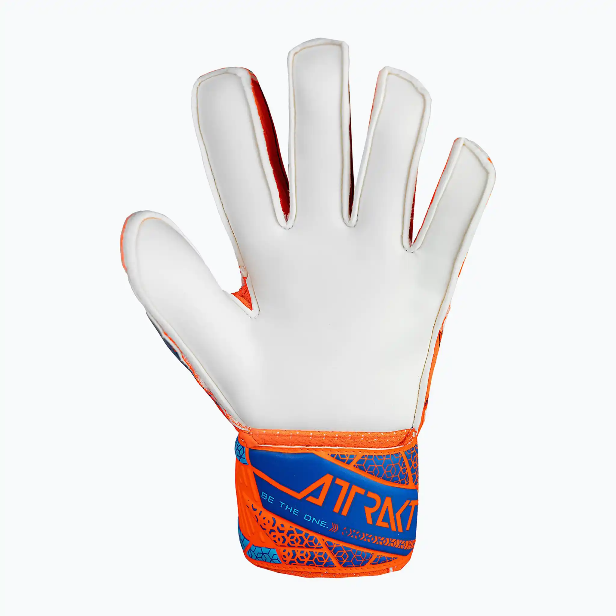 Reusch Attrakt Solid Finger Support junior gants de gardien de soccer - Image 6