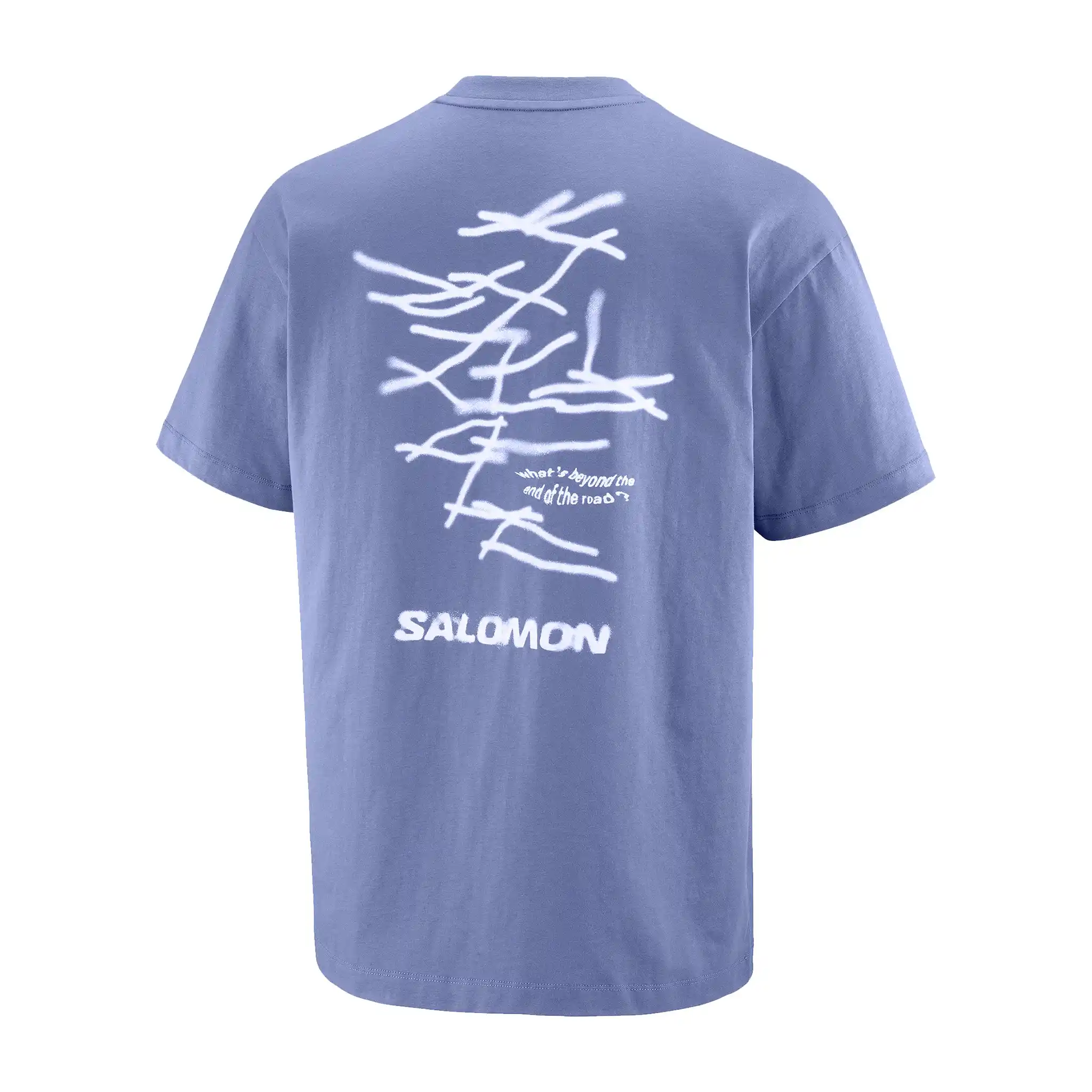 Salomon Wild Rays Graphic T-shirt à manches courtes pour homme - Image 8
