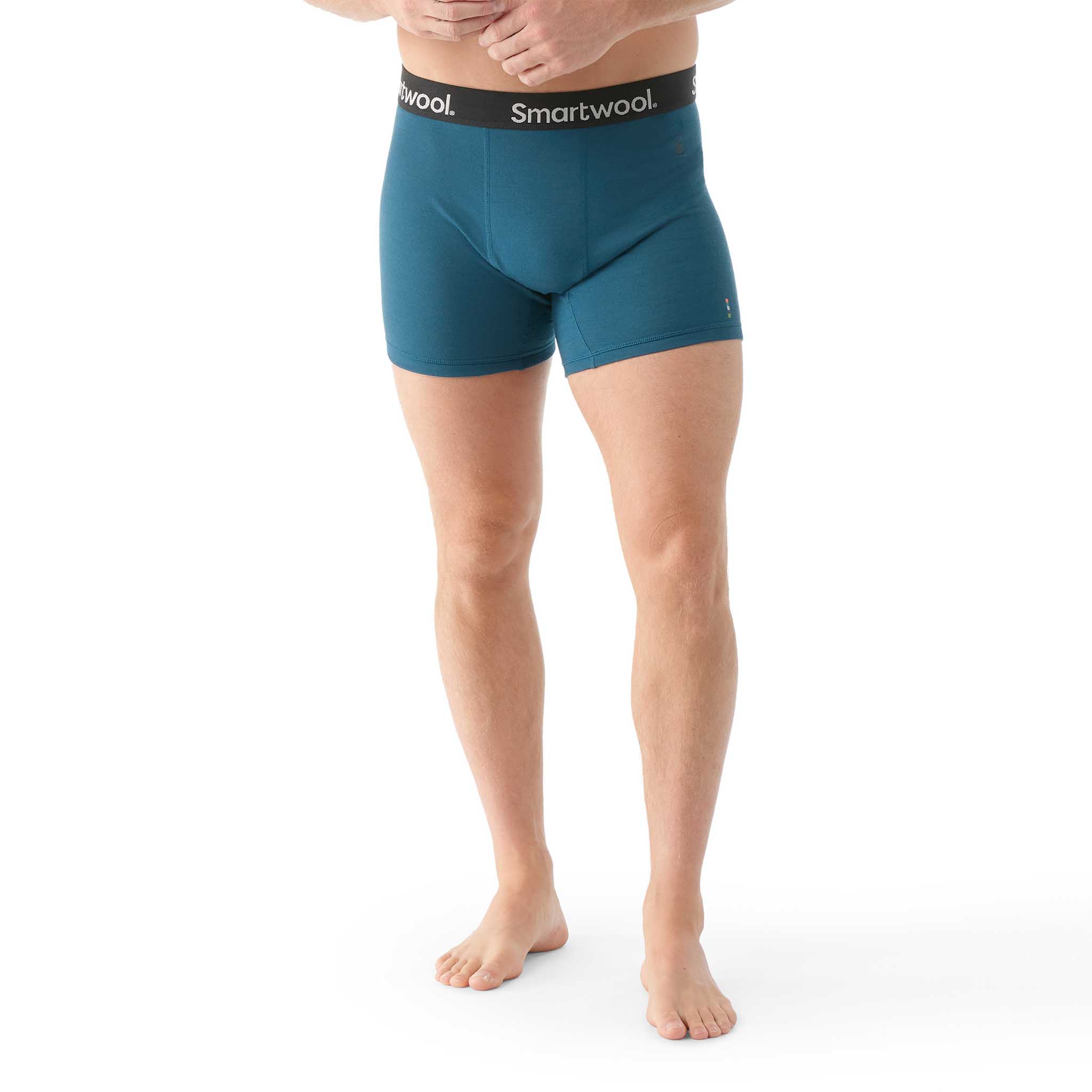 Smartwool caleçon boxeur en laine mérinos pour hommes - Image 3