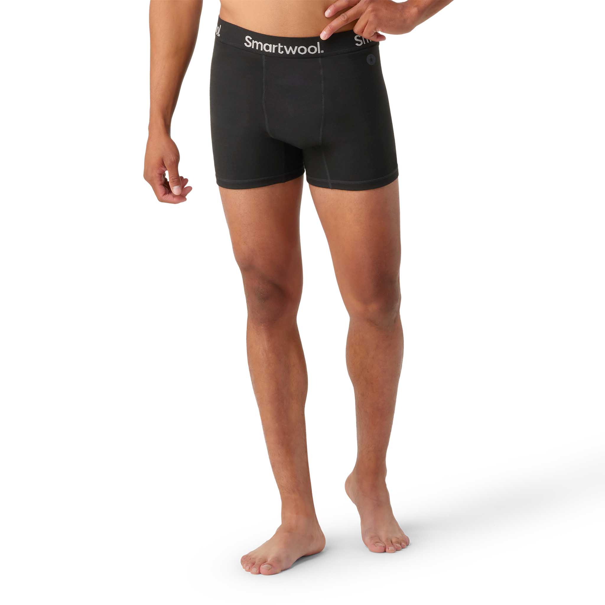 Smartwool caleçon boxeur en laine mérinos pour hommes - Image 4