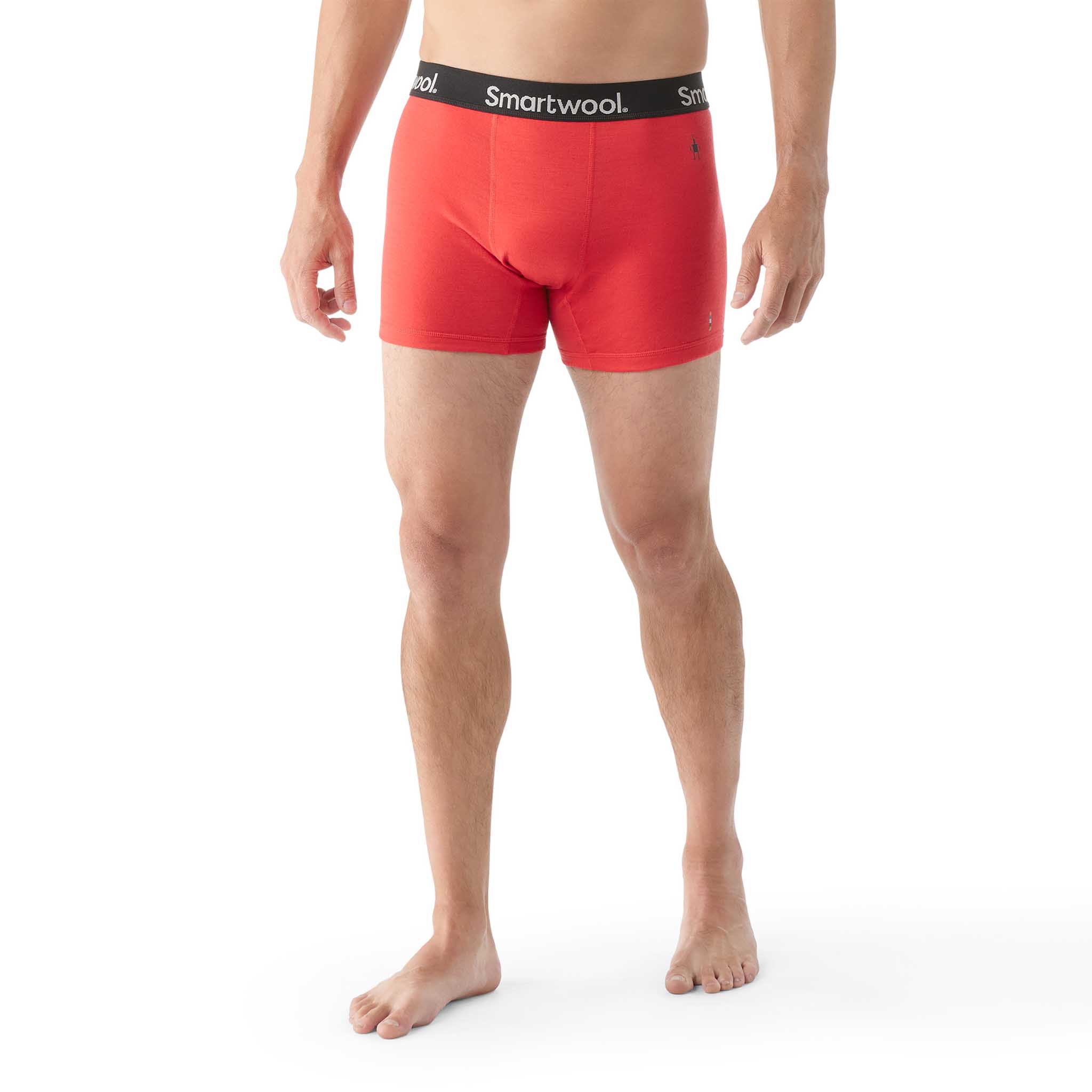 Smartwool caleçon boxeur en laine mérinos pour hommes - Image 7